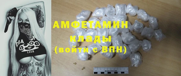 мдпв Бородино