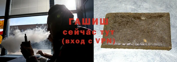 мдпв Бородино