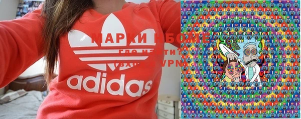 мдпв Бородино
