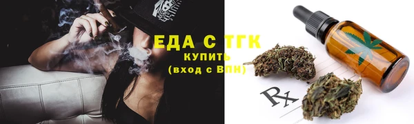 мдпв Бородино