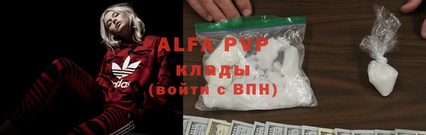 мдпв Бородино