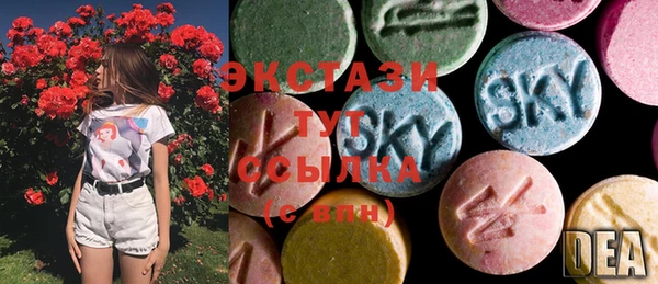 мдпв Бородино