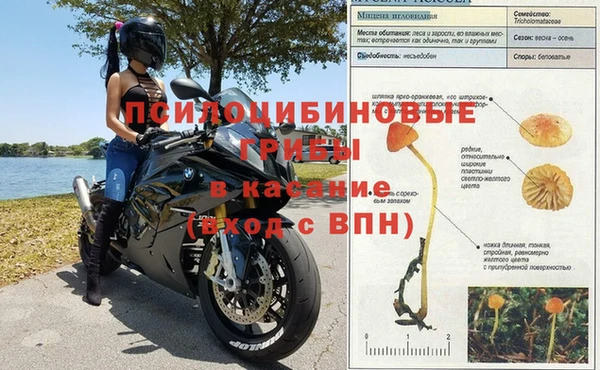 мдпв Бородино