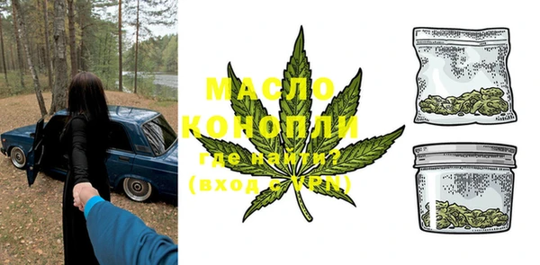 мдпв Бородино