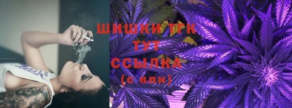 мдпв Бородино