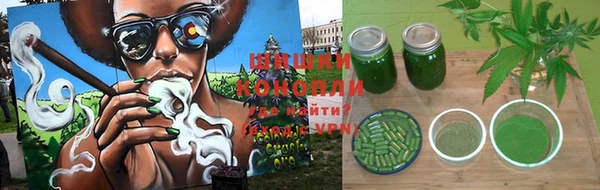 винт Бронницы