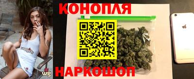 стафф Нальчик