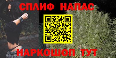 стафф Нальчик