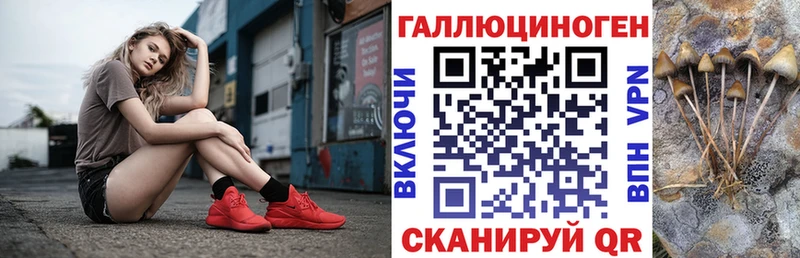 Псилоцибиновые грибы GOLDEN TEACHER  Буйнакск 