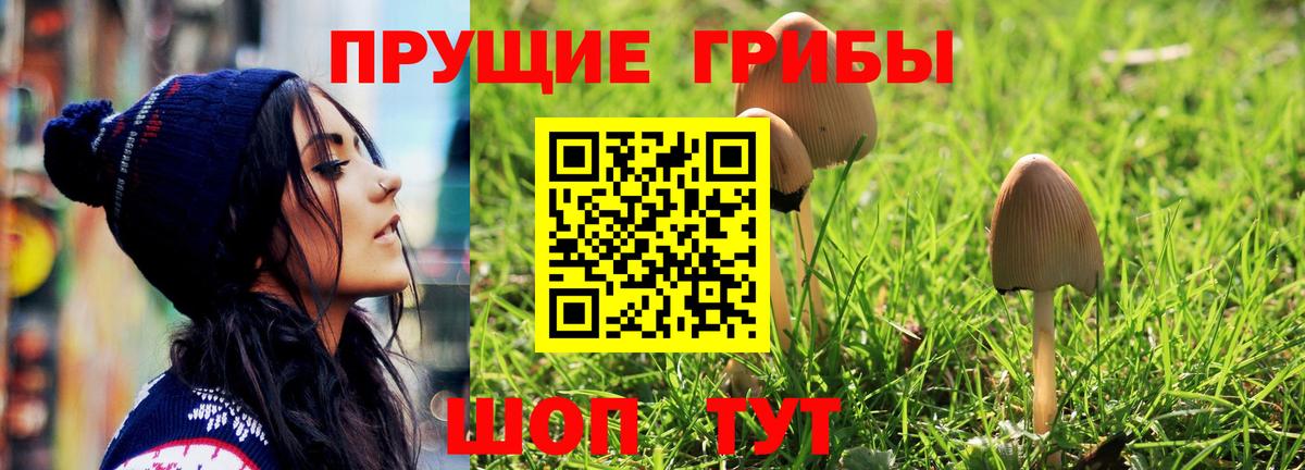 хочу   Псилоцибиновые грибы Magic Shrooms  Буйнакск  Вход с VPN  Галлюциногенные грибы Psilocybine cubensis 